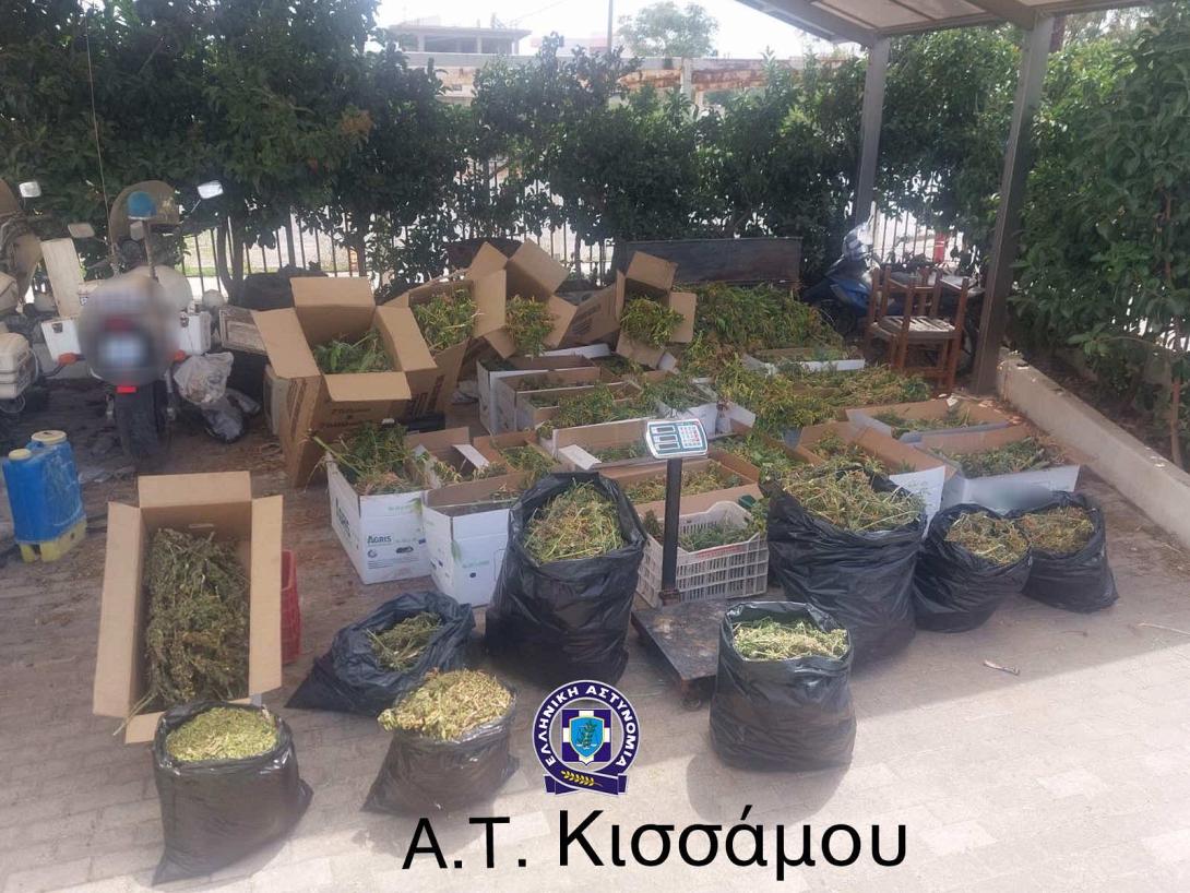 κάνναβη κίσσαμος