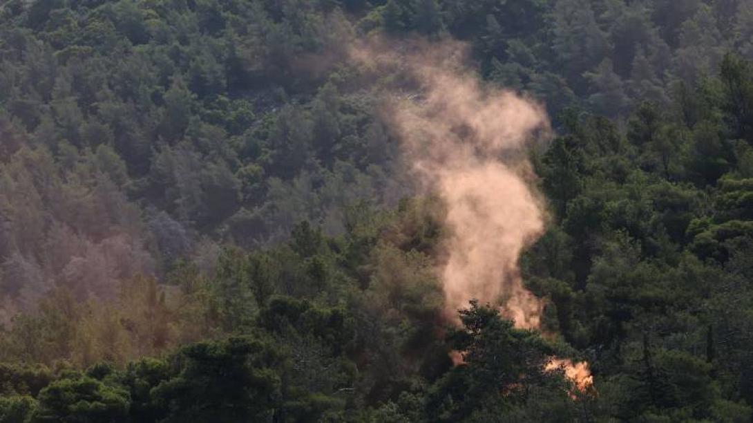 ΠΥΡΚΑΓΙΑ ΣΕ ΔΑΣΟς