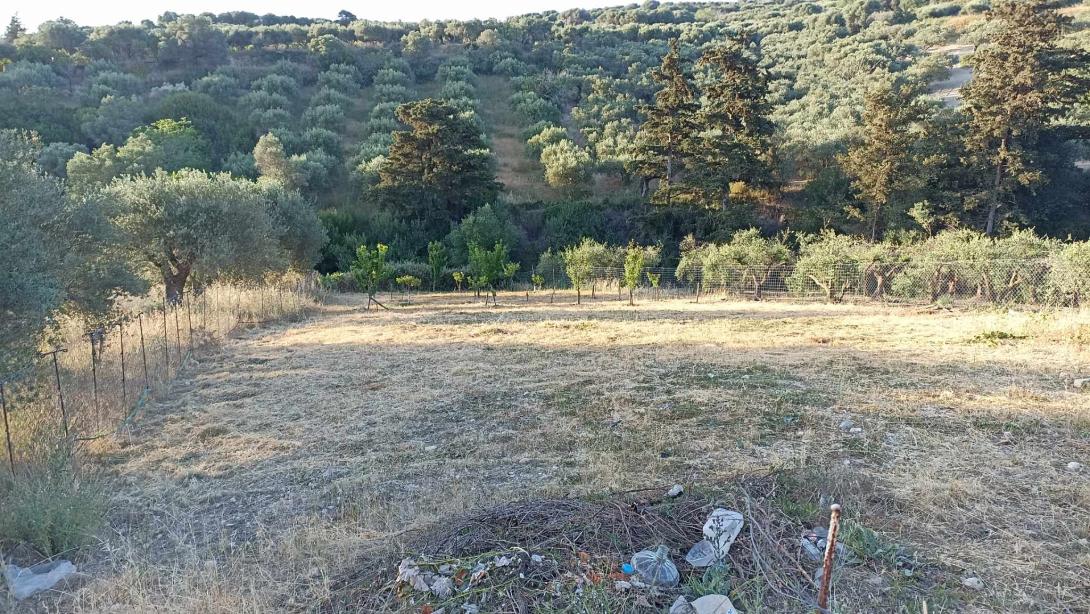 ΚΑΘΑΡΙΣΜΟΣ ΟΙΚΟΠΕΔΩΝ