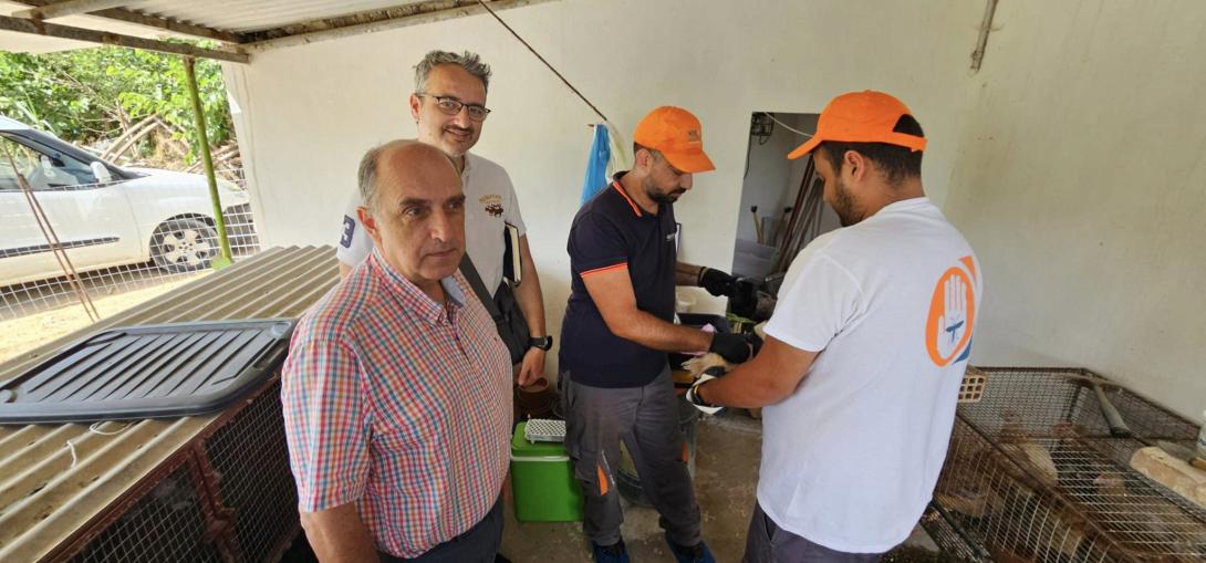 ιός δυτικού Νείλου 