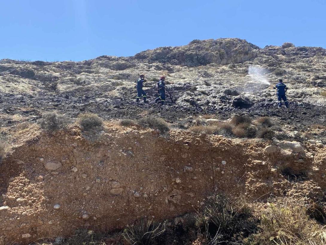 φωτιά καρτερός