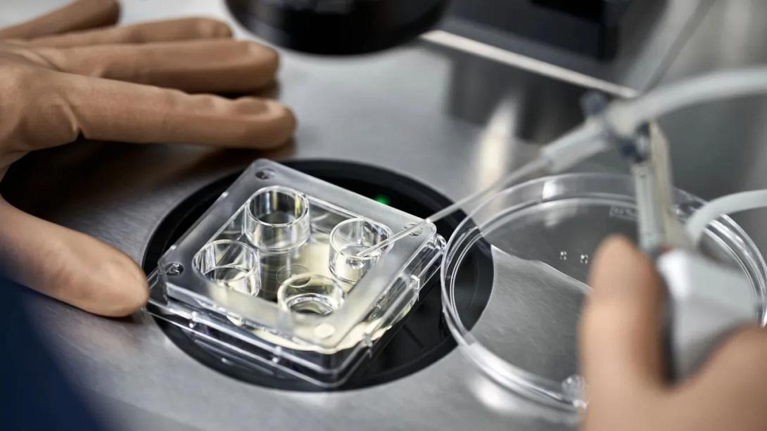 τενηχητη νοημοσυνη αναπαραγωγη