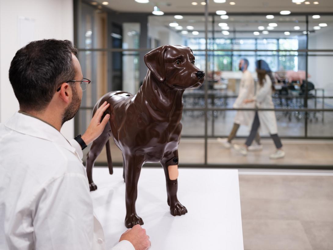 ΕΥΡΩΠΑΙΚΟ ΠΑΝΕΠΙΣΤΗΜΙΟ ΚΥΠΡΟΥ ΚΤΗΝΙΑΤΡΙΚΗ ΣΧΟΛΗ