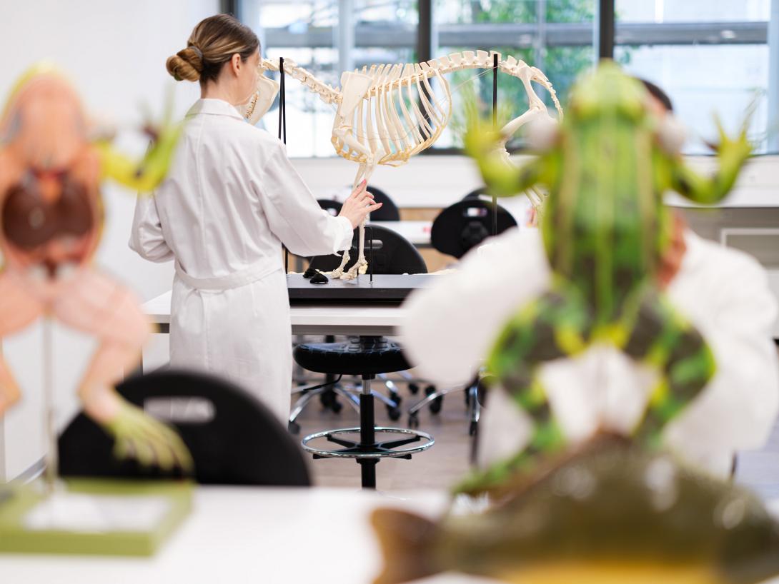 ΕΥΡΩΠΑΙΚΟ ΠΑΝΕΠΙΣΤΗΜΙΟ ΚΥΠΡΟΥ ΚΤΗΝΙΑΤΡΙΚΗ ΣΧΟΛΗ