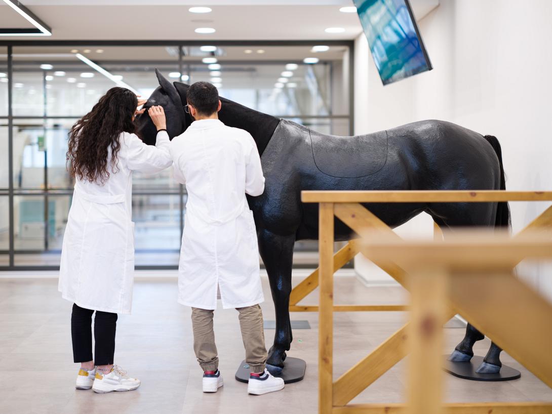 ΕΥΡΩΠΑΙΚΟ ΠΑΝΕΠΙΣΤΗΜΙΟ ΚΥΠΡΟΥ ΚΤΗΝΙΑΤΡΙΚΗ ΣΧΟΛΗ