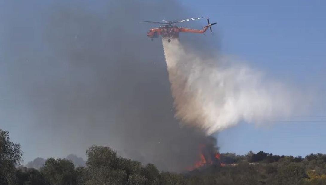 φωτια βολος