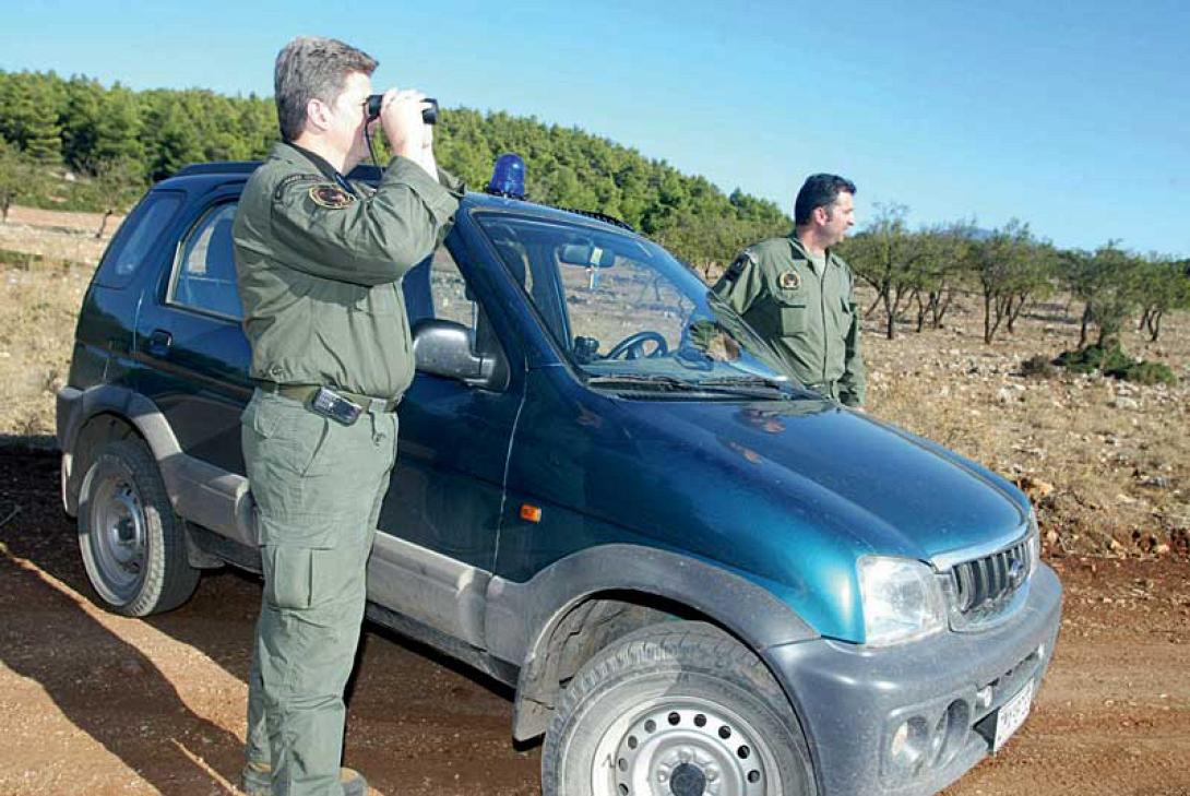 ΔΑΣΙΚΗ ΥΠΗΡΕΣΙΑ