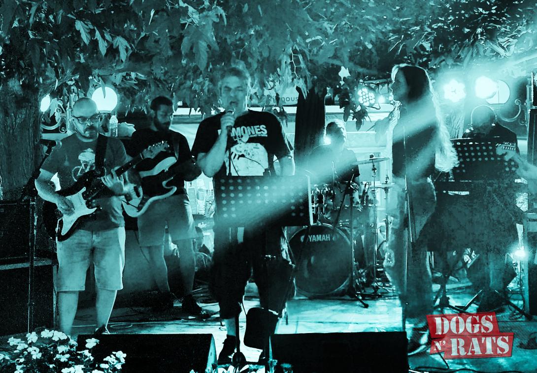 ΦΕΣΤΙΒΑΛ  ΔΗΜΟΥ