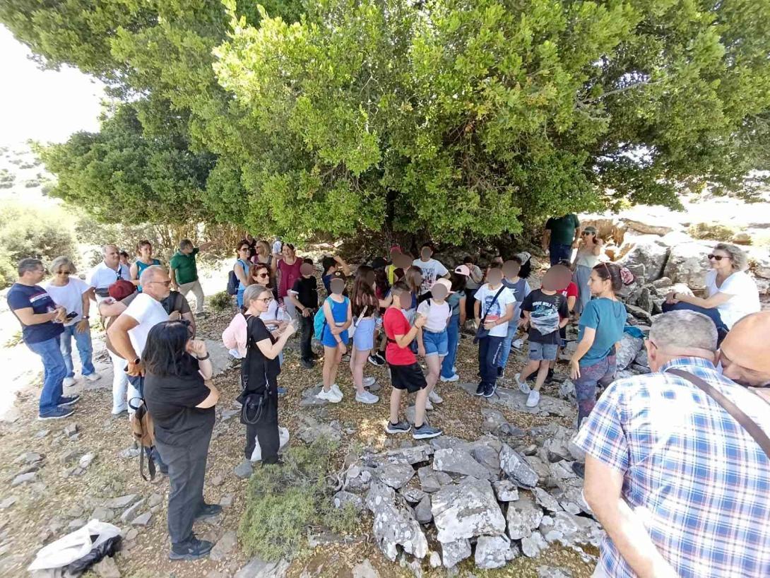 Ψηλορείτης 