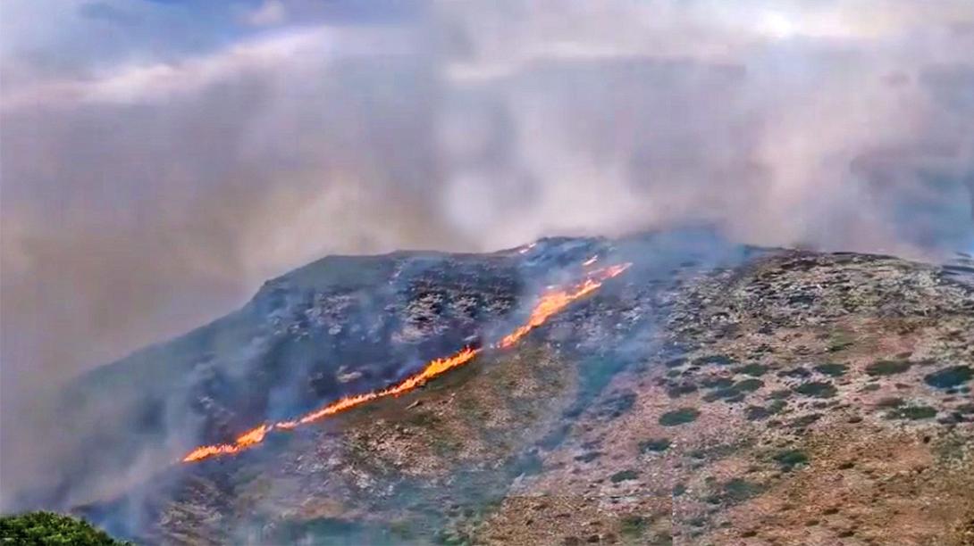 φωτιά Άνδρος 