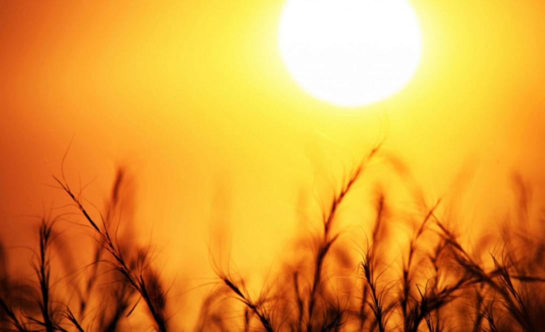 καύσωνας - καλοκαίρι - ζέστη 