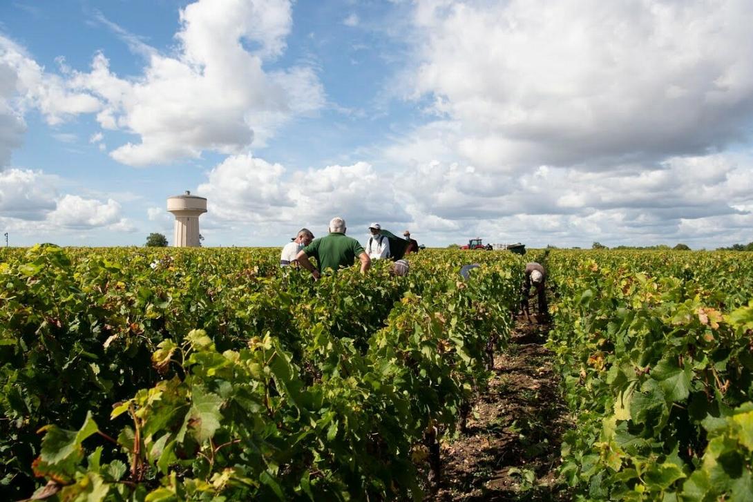 ιταλια εργατης 