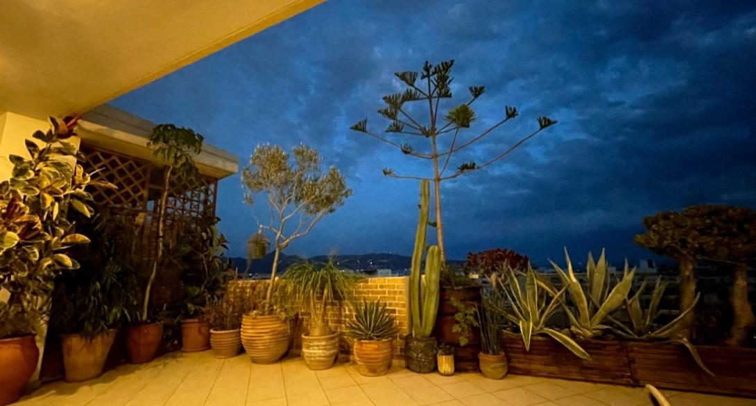 ανθιζω την πόλη μου