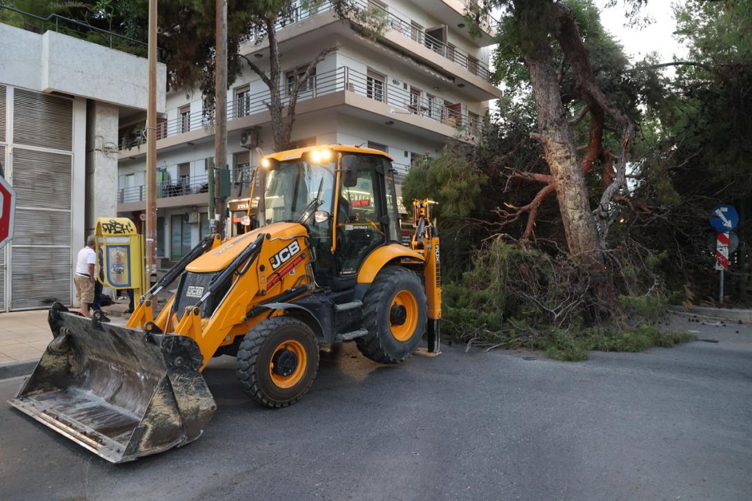 πτώση δέντρου