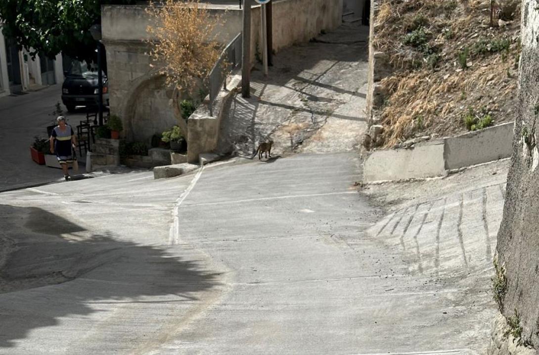 δρομος Κρουσώνα