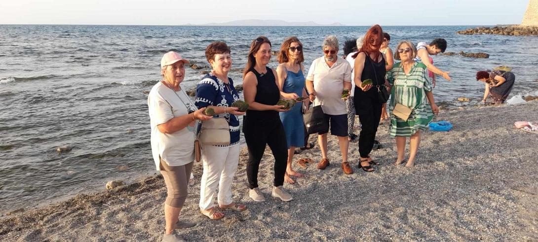 μαλλιαρή πέτρα