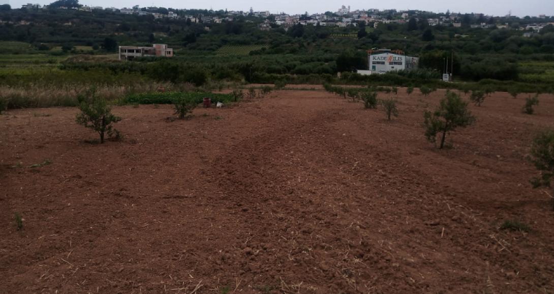 ΓΕΩΡΓΙΚΗ ΠΑΡΑΓΩΓΗ