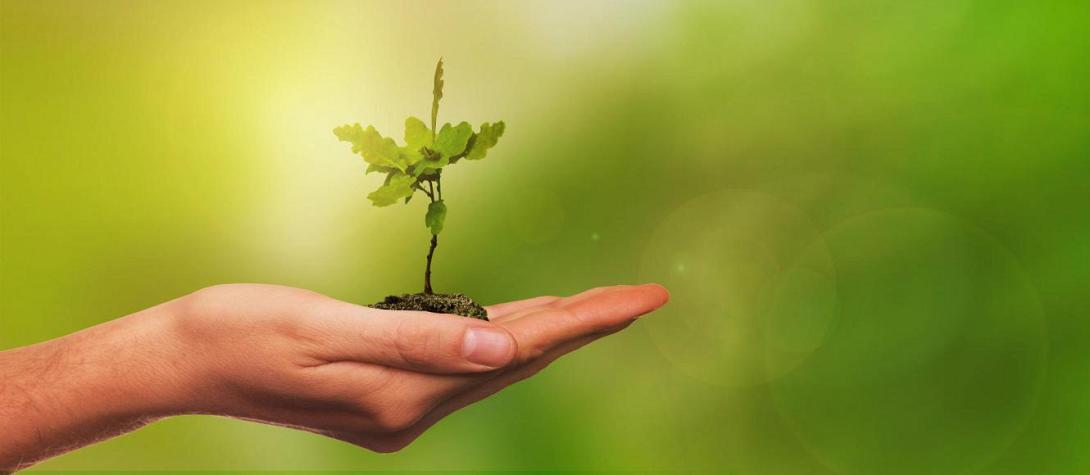 περιβάλλον 