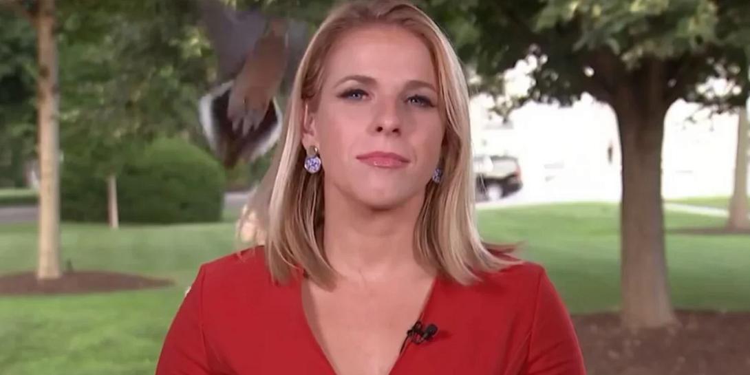 πουλί δημοσιογράφος