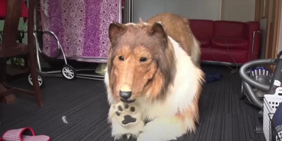 σκυλος ανθρωπος