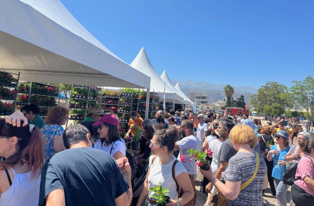 χανια - γιορτη περιβαλλον