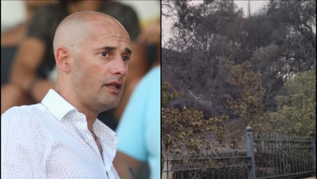 Τζόρτζεβιτς σπίτι Ηλεία