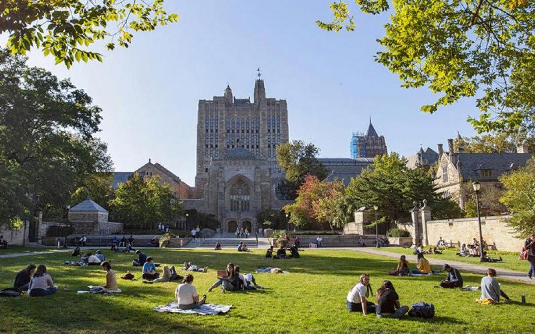 πανεπιστημιο yale