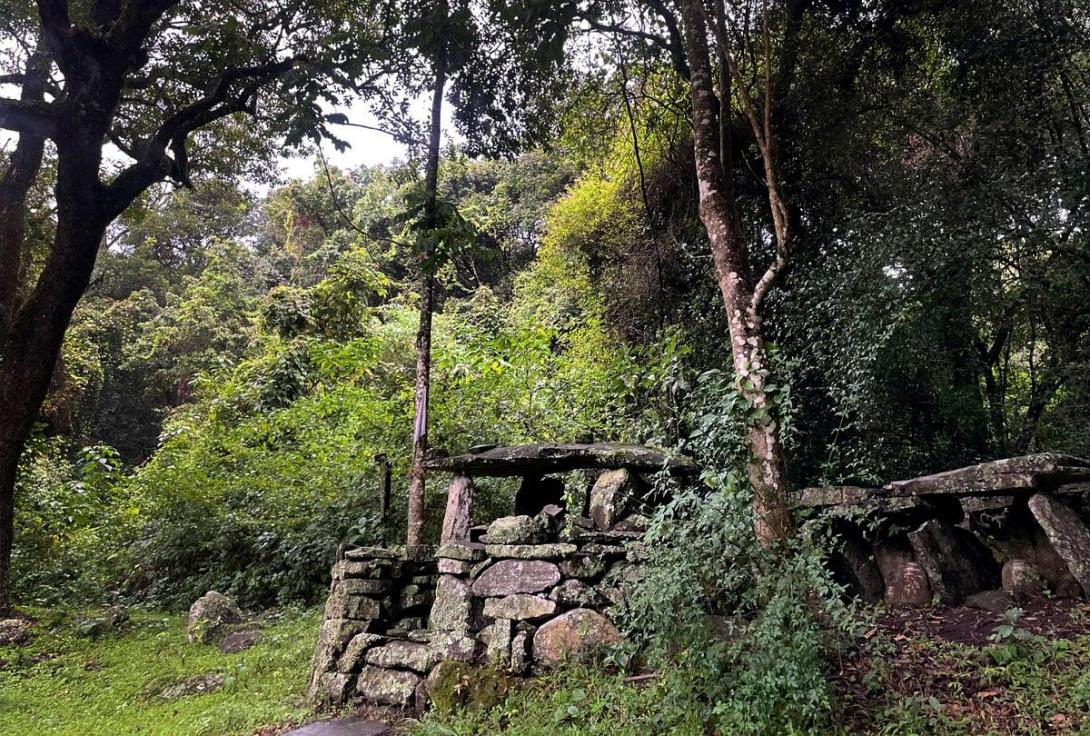 ζούγκλα - Ινδία