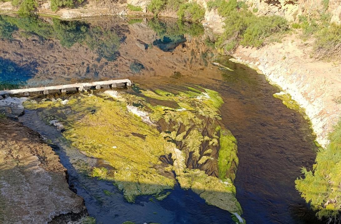 αλμυρός ξηρασία