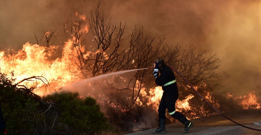ευβοια φωτιες