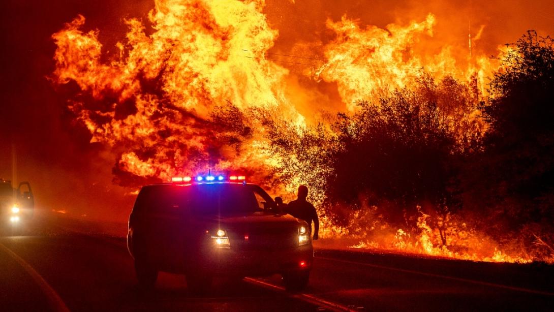 ΚΑΛΙΦΟΡΝΙΑ ΦΩΤΙΑ