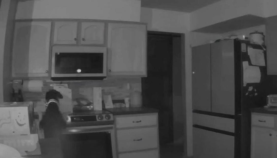 ΣΚΥΛΟΣ ΚΟΛΟΡΑΝΤΟ