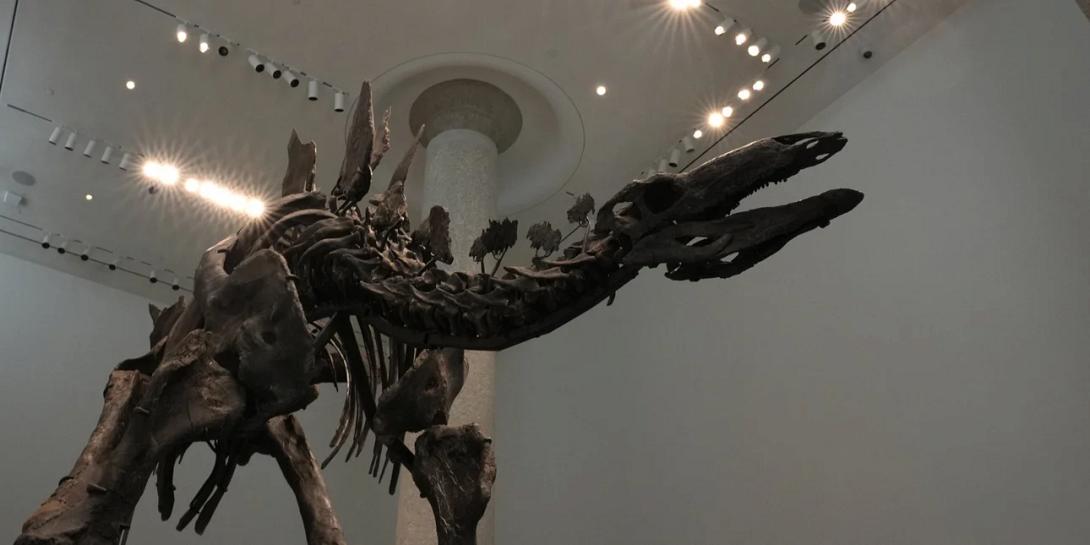 στεγόσαυρος