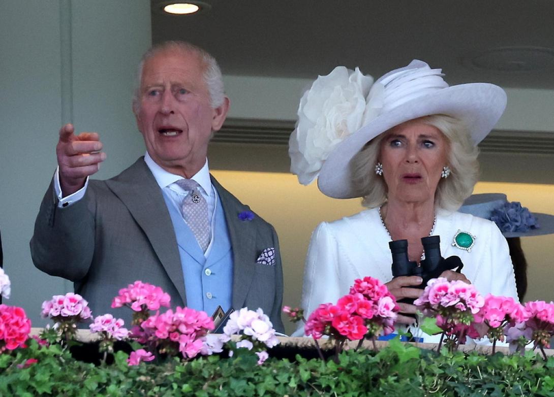 καρολος καμιλα