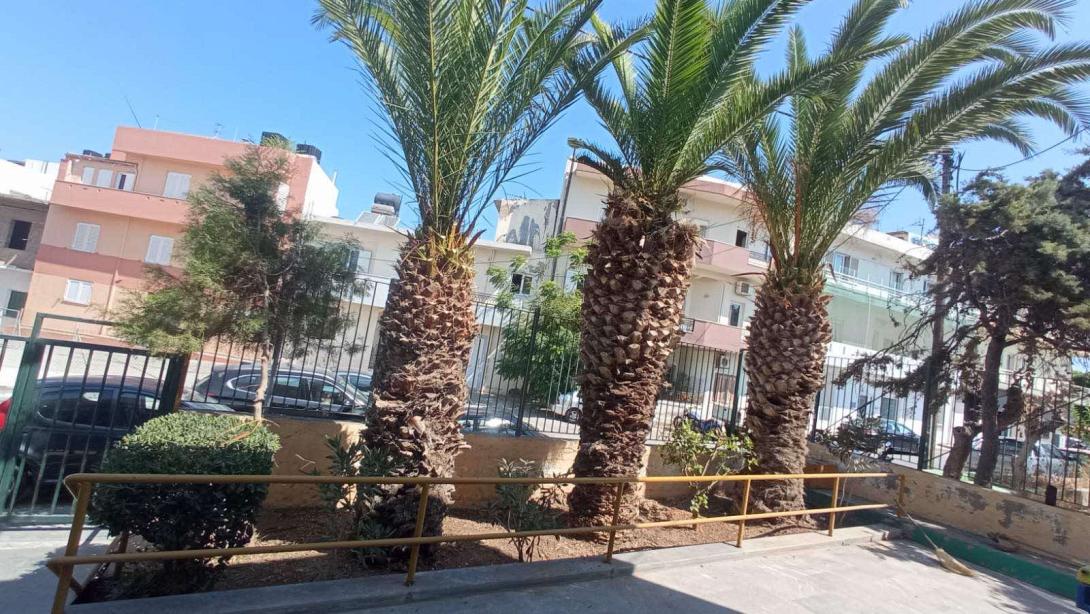 ΠΡΑΣΙΝΟ ΣΧΟΛΕΙΑ