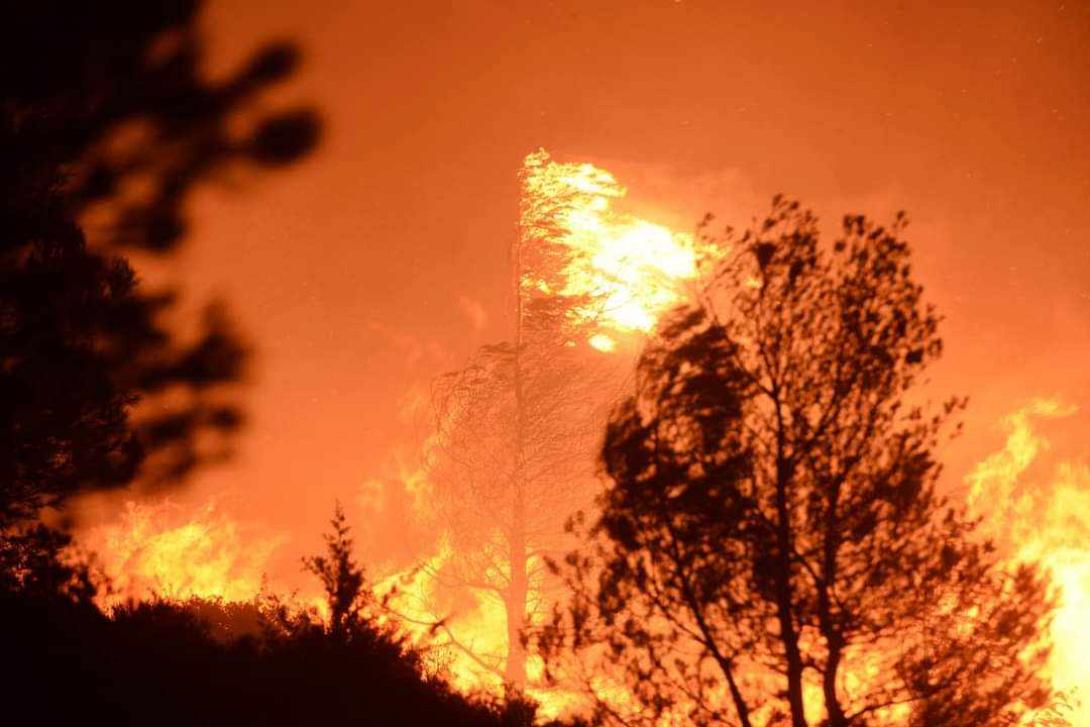 Φωτιά στην Αττική
