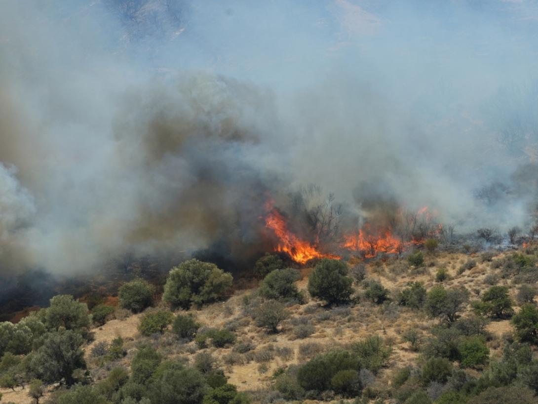 φωτιά στο Ρέθυμνο 