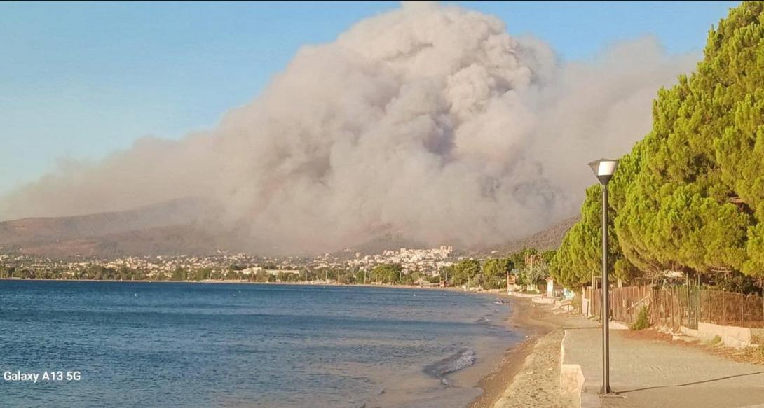 φωτιά στην Αττική 