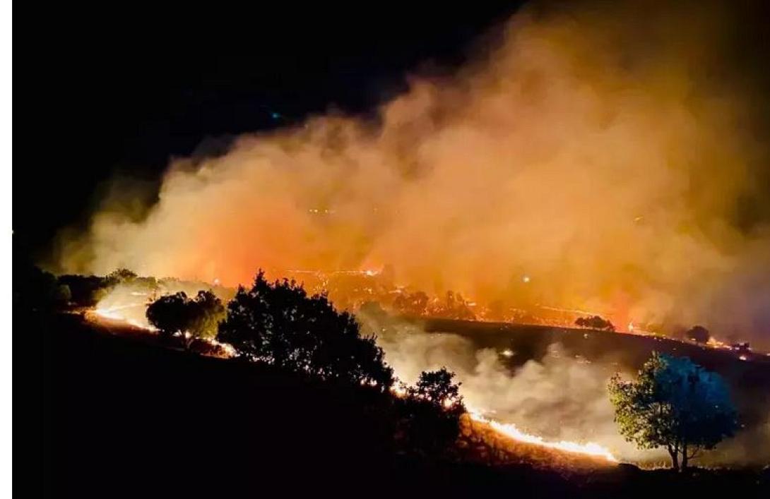 πυρκαγιες σμυρνη