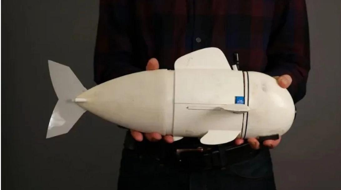 ρομποτικό ψάρι eve