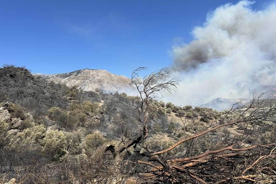 φωτιά ρεθυμνο
