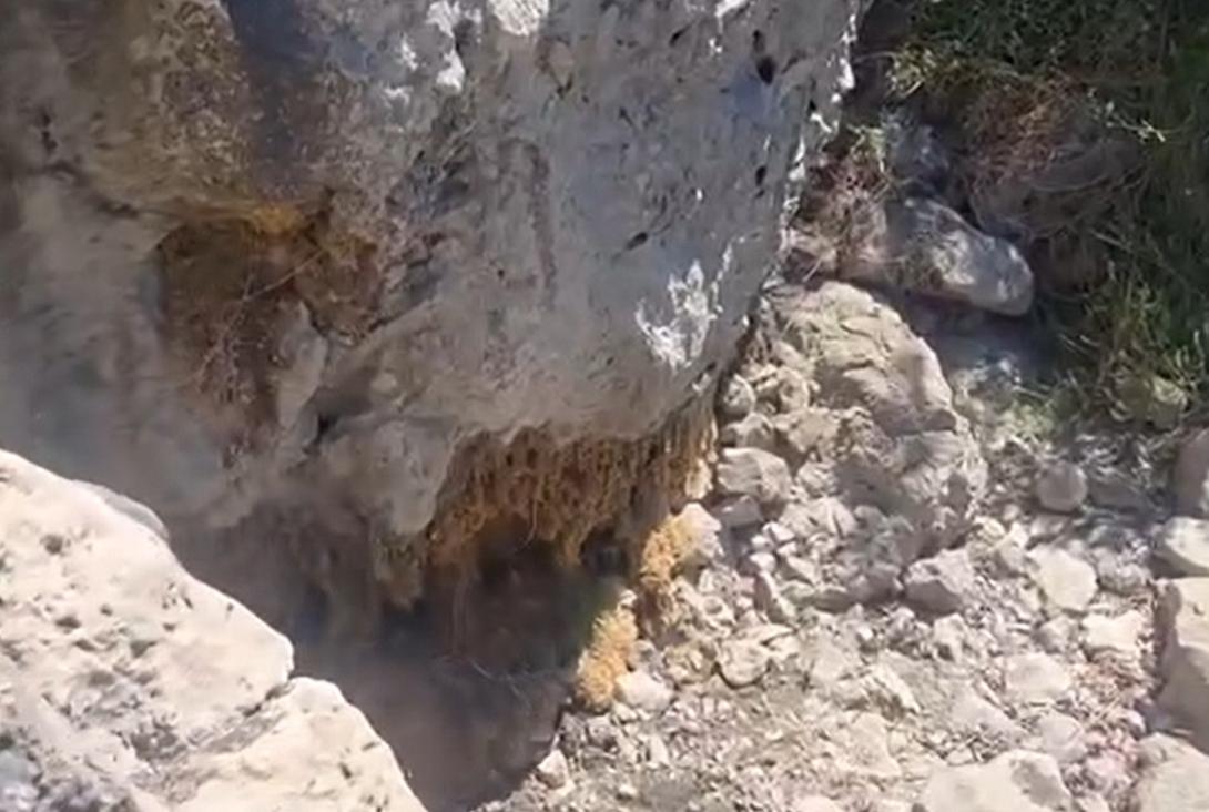 Καταρράκτης