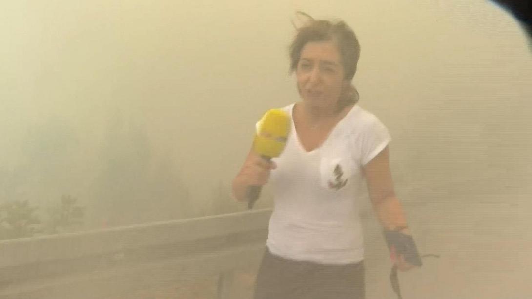 Κροατία ρεπόρτερ