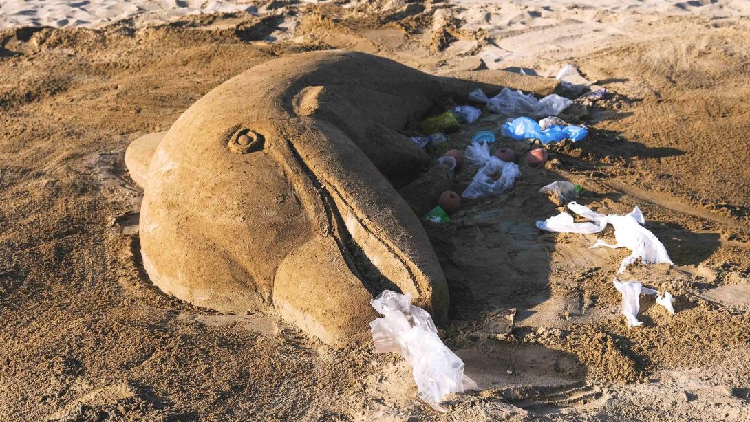 Γλυπτό νεκρό δελφίνι