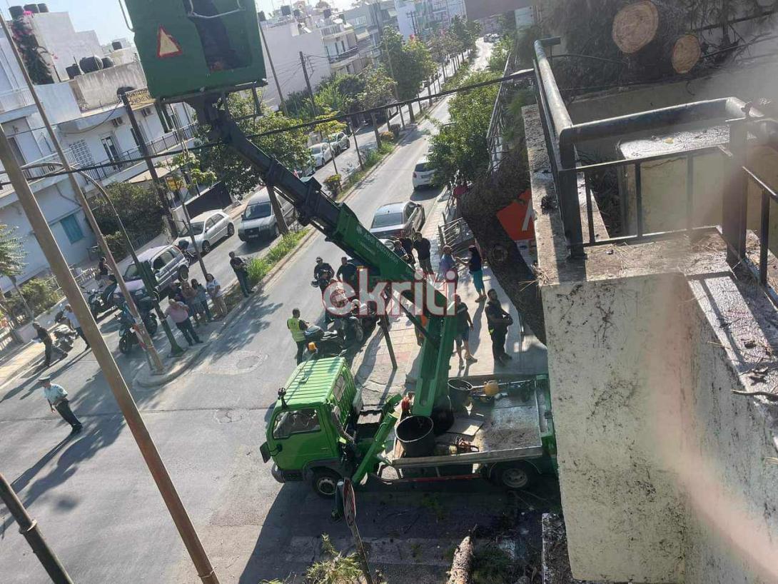 σμπώκου δέντρο