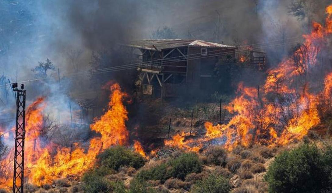 φωτιά σμύρνη