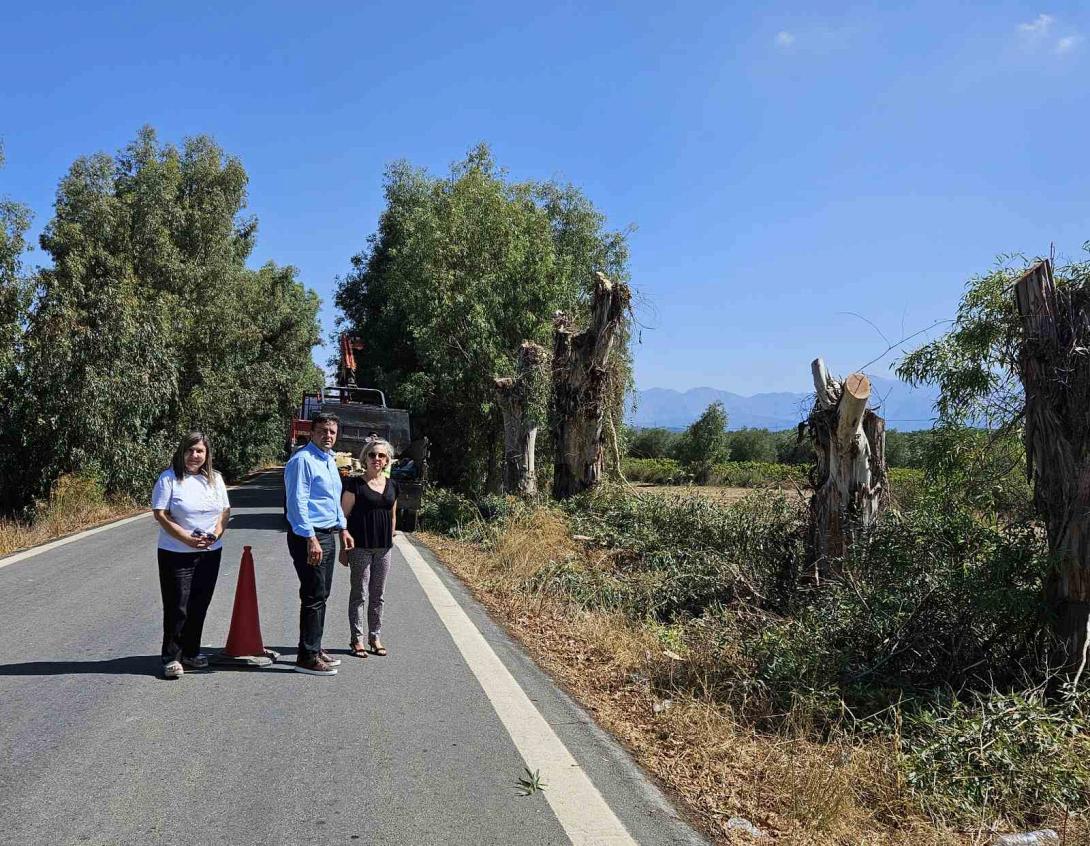 συριγωνάκης κλαδοκοπές