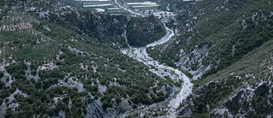 αναποδάρης