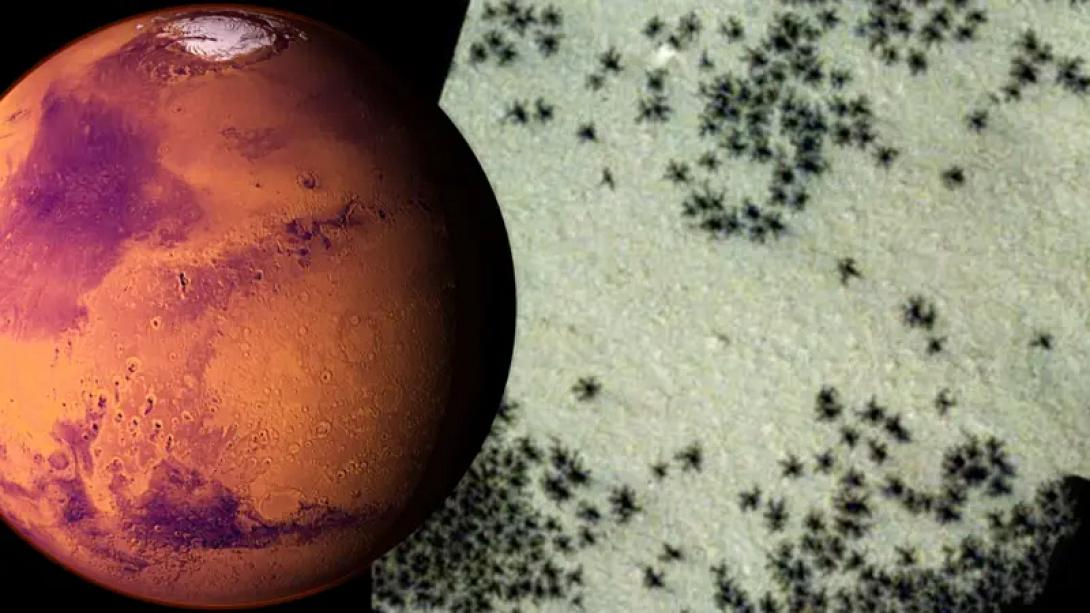 αρης αραχνες 2