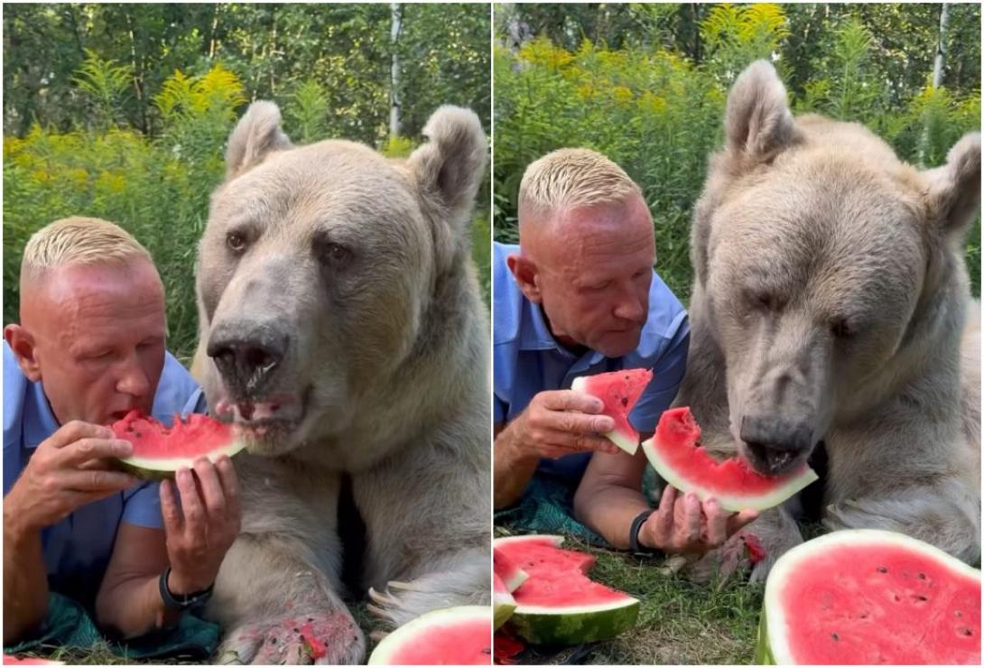 αρκούδα καρπούζι